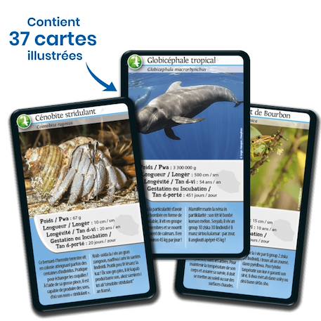Jeu de cartes - défis nature -  réunion -  fabriqué en france MULTICOLORE 4 - vertbaudet enfant 