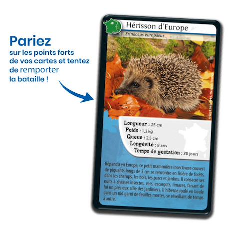 Jeu de cartes - défis nature -  france  -  fabriqué en france MULTICOLORE 3 - vertbaudet enfant 