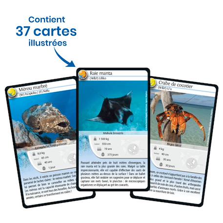 Jeu de cartes - défis nature -  wallis et futuna -  fabriqué en france MULTICOLORE 4 - vertbaudet enfant 