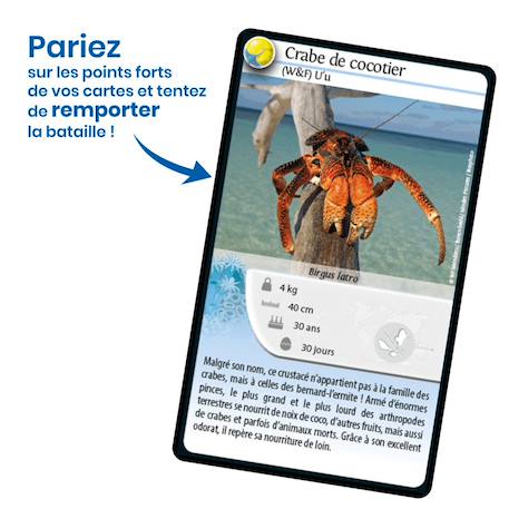 Jeu de cartes - défis nature -  wallis et futuna -  fabriqué en france MULTICOLORE 3 - vertbaudet enfant 