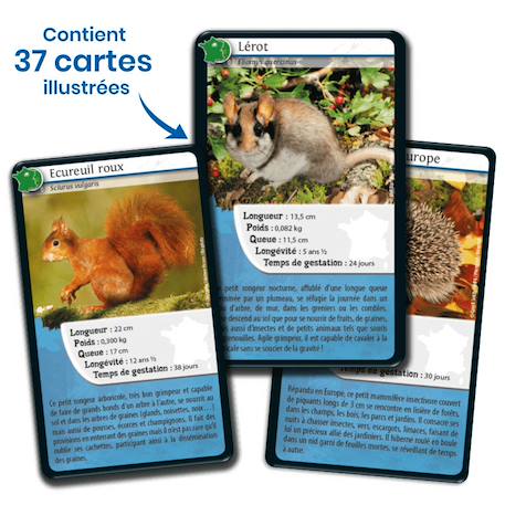 Jeu de cartes - défis nature -  france  -  fabriqué en france MULTICOLORE 4 - vertbaudet enfant 