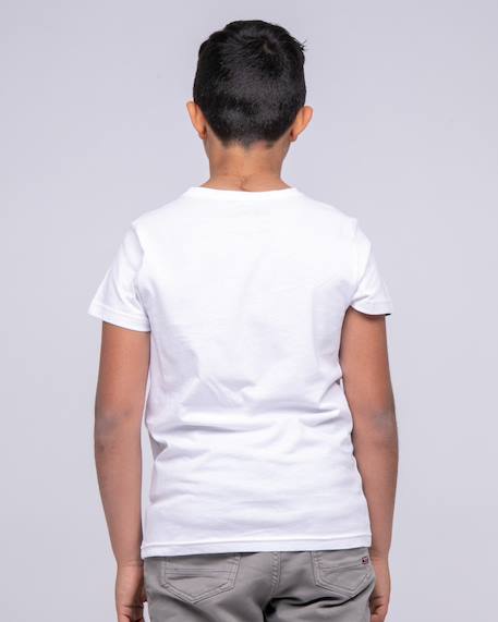 T-shirt col rond pur coton nitali garçon Blanc+Bleu marine+Gris 2 - vertbaudet enfant 
