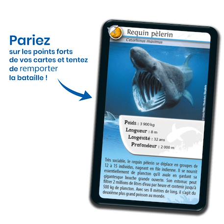 Jeu de cartes - défis nature -  requins -  fabriqué en france MULTICOLORE 3 - vertbaudet enfant 