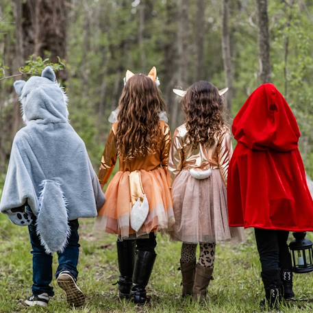 Déguisement enfant cape de loup Gris 3 - vertbaudet enfant 