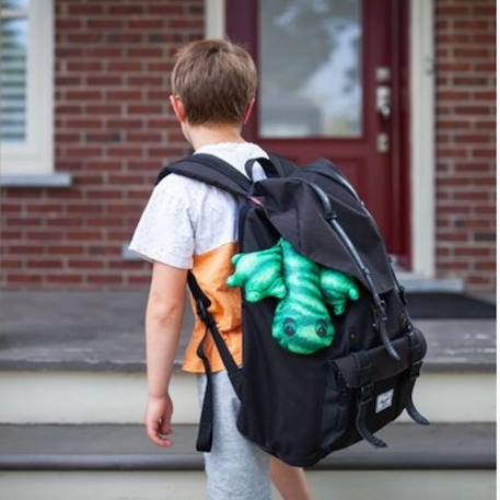Lezard lesté manimo vert - jouet éducatif pour enfants Vert 5 - vertbaudet enfant 