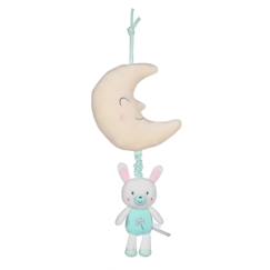 Linge de maison et décoration-Décoration-Boîte à musique les ptits féeriques lapin - 32 cm
