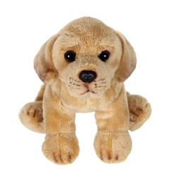 Jouet-Peluche - peluche floppipup labrador - 22 cm