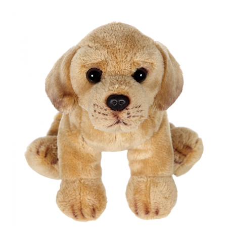 Peluche - peluche floppipup labrador - 22 cm Marron 1 - vertbaudet enfant 