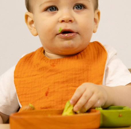 Bavoir cathy la carotte Orange 6 - vertbaudet enfant 
