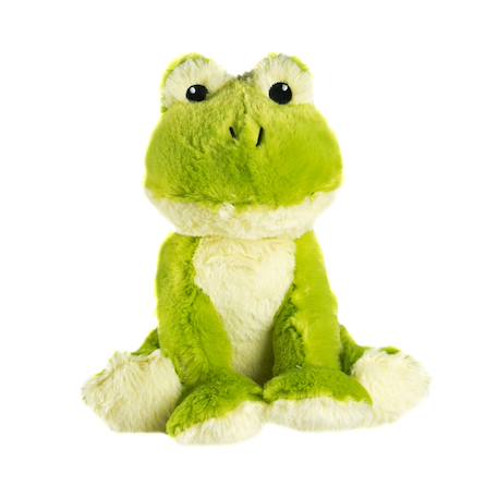 Peluche bouillotte grenouille Vert 2 - vertbaudet enfant 