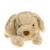 Peluche bouillotte chien Beige 2 - vertbaudet enfant 