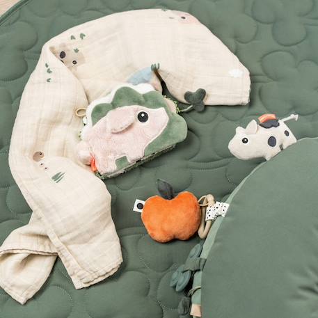 Coussin d'éveil tummy time tiny farm vert Bleu+Vert 7 - vertbaudet enfant 