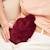 Bouillotte micro-ondes prune Bordeaux 1 - vertbaudet enfant 
