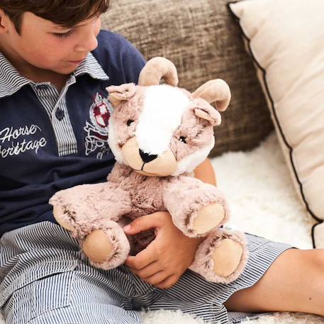 Peluche bouillotte chamois Marron 1 - vertbaudet enfant 