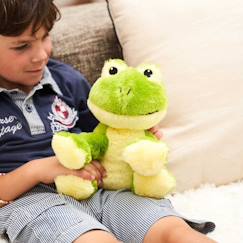 Jouet-Peluche bouillotte grenouille
