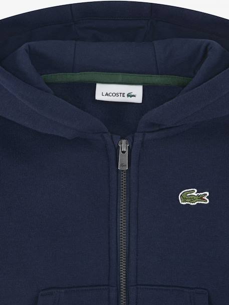 Ensemble 3 pièces body gilet à capuche et bas Bleu foncé 3 - vertbaudet enfant 