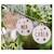 Boule de noël personnalisable en bois Beige 6 - vertbaudet enfant 