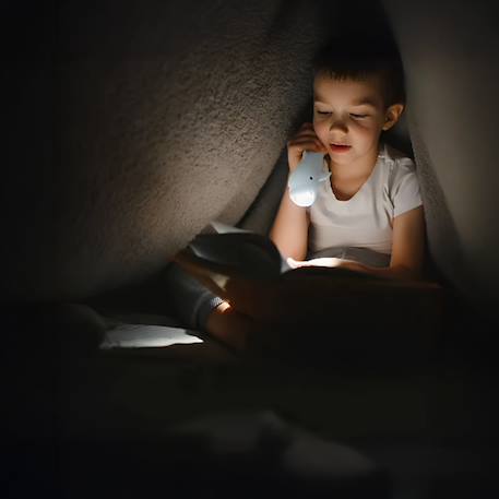 Lampe torche animaux en silicone pour enfants Beige+Bleu ciel+Camel+Écru+Marron+Orange+Rose+Taupe+Vert 10 - vertbaudet enfant 