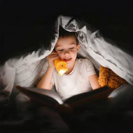 Lampe torche animaux en silicone pour enfants Beige+Bleu ciel+Camel+Écru+Marron+Orange+Rose+Taupe+Vert 32 - vertbaudet enfant 