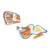 Contour puzzle - pélican Multicolor 1 - vertbaudet enfant 