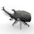 Puzzle 3d - scarabée rhinocéros Black 4 - vertbaudet enfant 