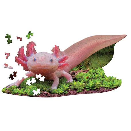 Puzzle I am lil' - axolotl Multicolor 4 - vertbaudet enfant 