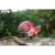 Puzzle 3d - tyranno Red 5 - vertbaudet enfant 