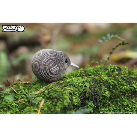Puzzle 3d - kiwi brun Brown 6 - vertbaudet enfant 