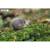 Puzzle 3d - kiwi brun Brown 6 - vertbaudet enfant 