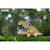 Puzzle 3d - alligateur Green 4 - vertbaudet enfant 