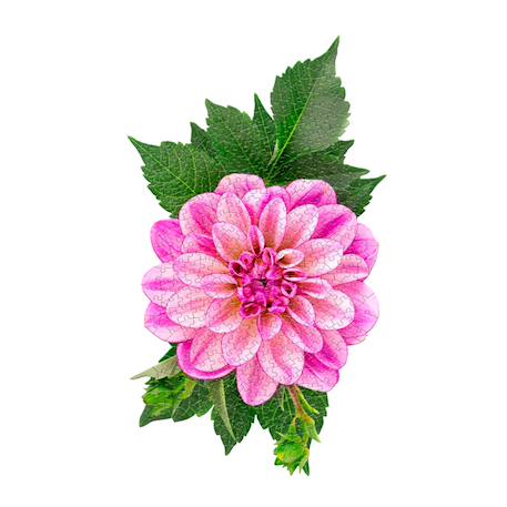Puzzle I am mini - dahlia Multicolor 2 - vertbaudet enfant 