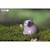 Puzzle 3d - koala Grey 5 - vertbaudet enfant 