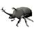 Puzzle 3d - scarabée rhinocéros Black 1 - vertbaudet enfant 