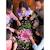 Puzzle I am mini - dahlia Multicolor 4 - vertbaudet enfant 