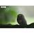 Puzzle 3d - hibou Brown 4 - vertbaudet enfant 