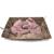 Kit de fouille – Squelette de Mosasaure à déterrer et assembler Multicolor 2 - vertbaudet enfant 