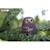 Puzzle 3d - ninox Brown 5 - vertbaudet enfant 