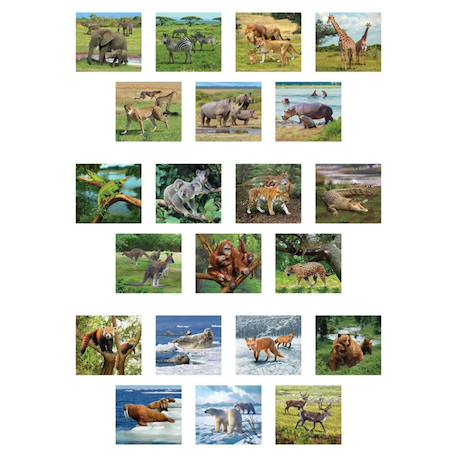 Viewer  3d - animaux sauvages Visionneur images Multicolor 3 - vertbaudet enfant 