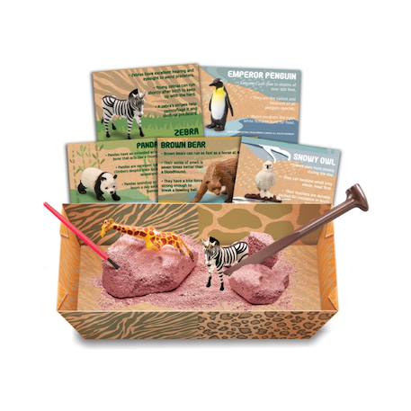 Kit archéologique pour enfants – À la découverte de la faune Multicolor 3 - vertbaudet enfant 