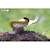 Puzzle 3d - oiseau lyre Multicolor 6 - vertbaudet enfant 