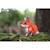 Puzzle 3d - renard rouge Brown 5 - vertbaudet enfant 