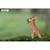 Puzzle 3d - girafe Brown 6 - vertbaudet enfant 