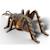 Puzzle 3d - sauterelle Brown 5 - vertbaudet enfant 