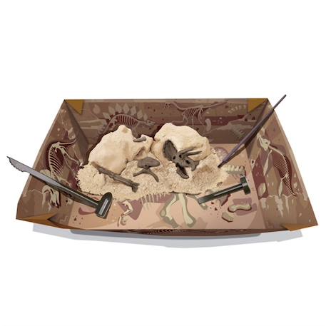 Kit de fouille – Squelette de Tricératops à découvrir Multicolor 4 - vertbaudet enfant 