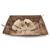 Kit de fouille – Squelette de Tricératops à découvrir Multicolor 4 - vertbaudet enfant 