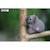 Puzzle 3d - koala Grey 6 - vertbaudet enfant 