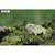 Puzzle 3d - tuatara Green 4 - vertbaudet enfant 
