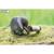 Puzzle 3d - éléphant Grey 4 - vertbaudet enfant 