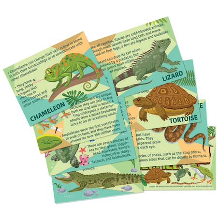 Kit moulage - reptiles et amphibiens Multicolor 5 - vertbaudet enfant 