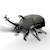 Puzzle 3d - scarabée rhinocéros Black 2 - vertbaudet enfant 